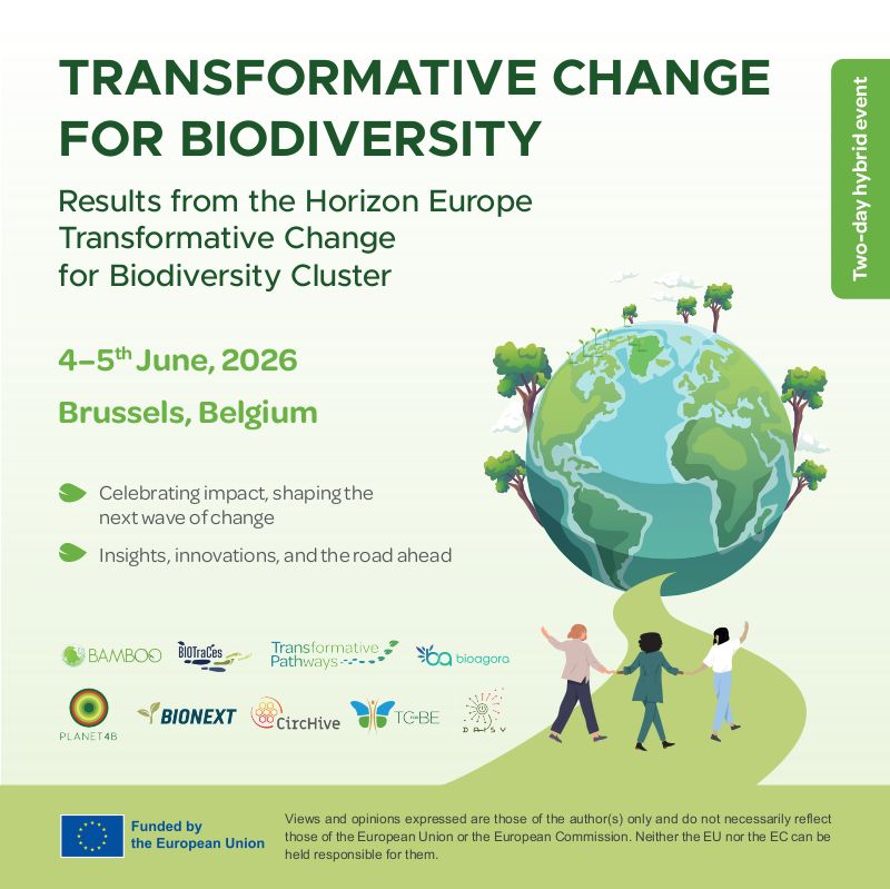 picture of sea walnut